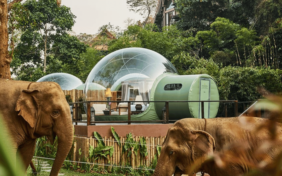 Anantara Journeys